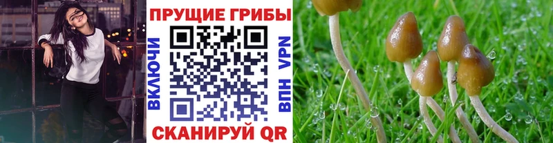 Галлюциногенные грибы прущие грибы Октябрьский