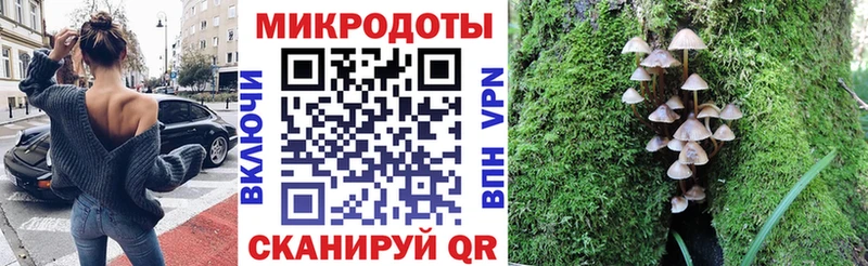 Псилоцибиновые грибы Cubensis  Октябрьский 