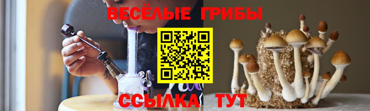 Галлюциногенные грибы Cubensis  Вход с VPN  Галлюциногенные грибы мицелий  Октябрьский 